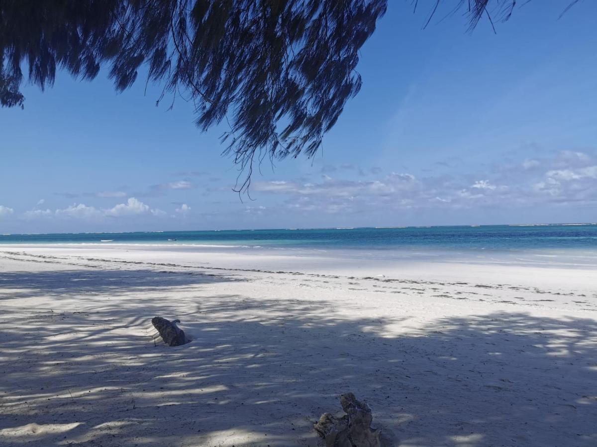 Bed and Breakfast ZumZum Beach House Kinondo Exterior foto